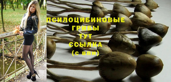 apvp Белокуриха