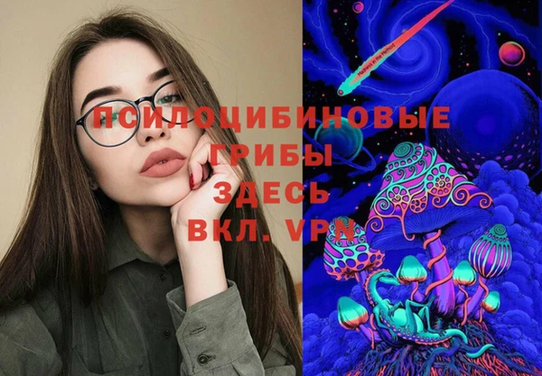 apvp Белокуриха