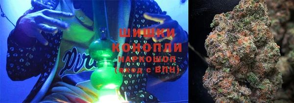 apvp Белокуриха