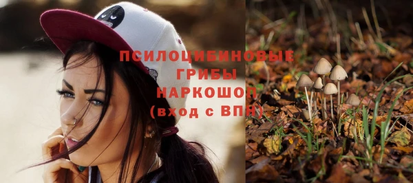 гидра Беломорск